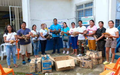 Transfer of Native Chicken to New Beneficiaries @ Brgy. Antipolo Pagbilao, Quezon